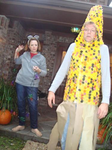 Indian Corn, 2016